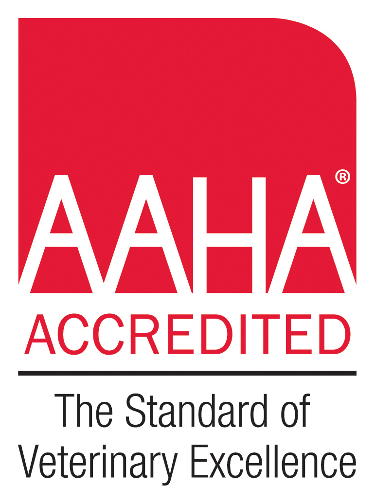 AAHA Accredited logo in red and white, with the tagline "The Standard of Veterinary Excellence" underneath.