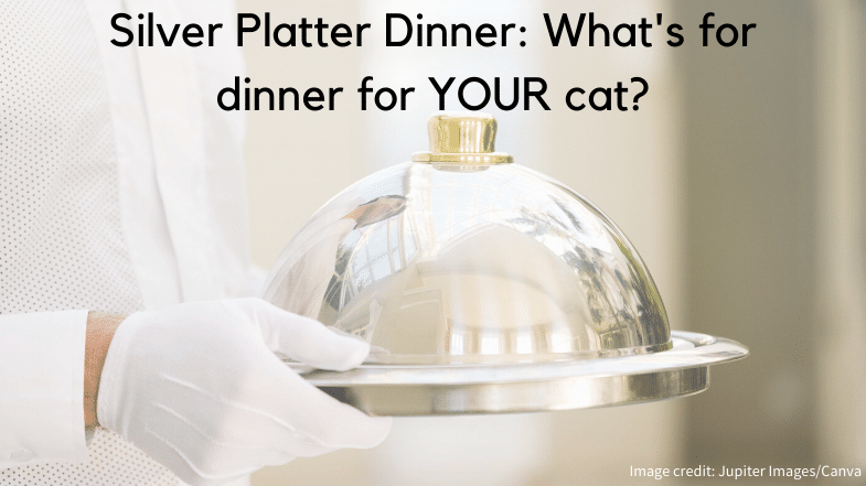 A person wearing white gloves holds a silver platter with a domed lid; caption asks, "Silver Platter Dinner: What's for dinner for YOUR cat?.