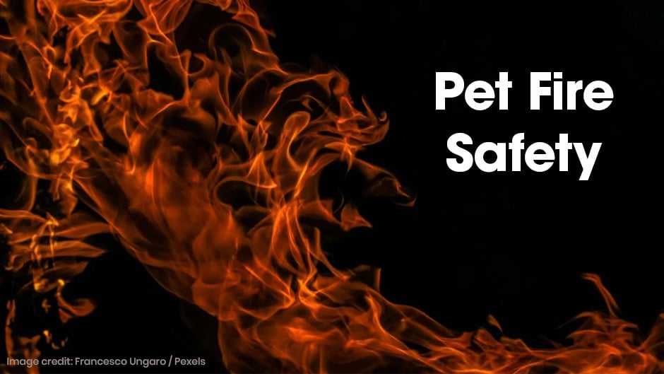 Bright orange flames on a black background with the text “Pet Fire Safety” in bold white letters on the right side.