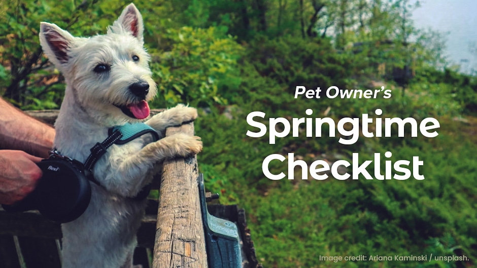 A small white dog with a harness stands on its hind legs at a wooden railing overlooking green trees, accompanied by text reading "Pet Owner’s Springtime Checklist.