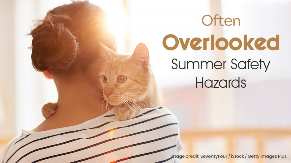A woman with a striped shirt holds a ginger cat on her shoulder. The text reads: "Often Overlooked Summer Safety Hazards.