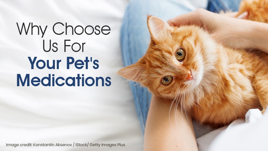 A person holds an orange tabby cat; text reads "Why choose us for your pet's medications.