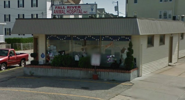 Exterior view of Fall River Animal Hospital Inc., a single-story building with large front windows and a sign on the roof, located next to a parking lot.